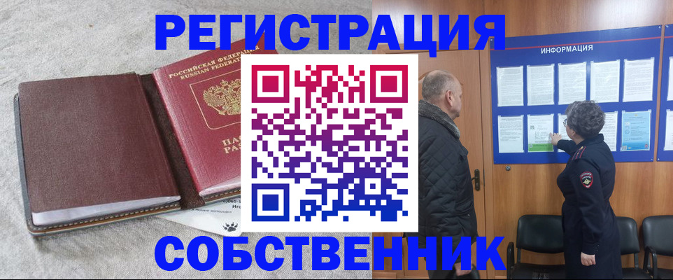 временная регистрация надежно в Куртамыше